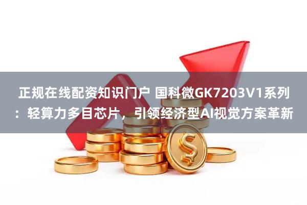 正规在线配资知识门户 国科微GK7203V1系列：轻算力多目芯片，引领经济型AI视觉方案革新